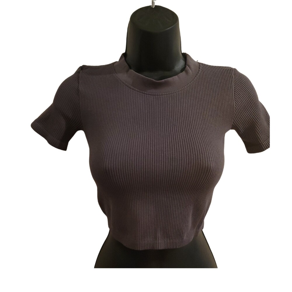Zara NWT Dark Purple/Gray Crew Neck Crop Top Size XS